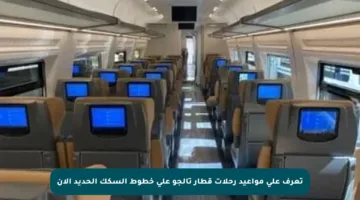 تعرف على مواعيد رحلات قطار تالجو على خطوط السكك الحديد الآن